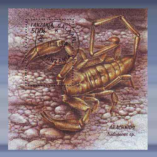 Scorpion - Klik op de afbeelding om het venster te sluiten