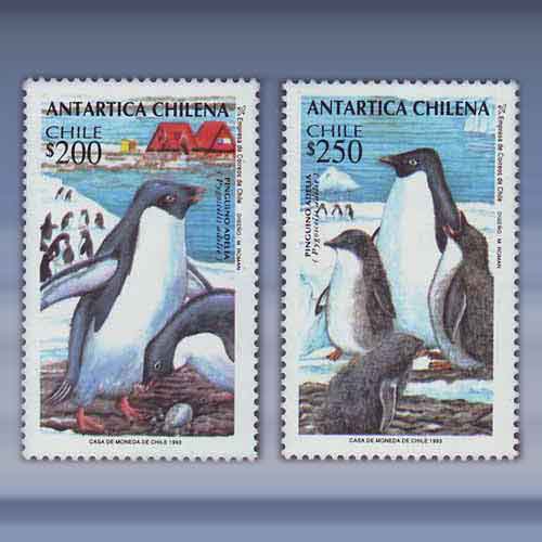 Pinguins - Klik op de afbeelding om het venster te sluiten