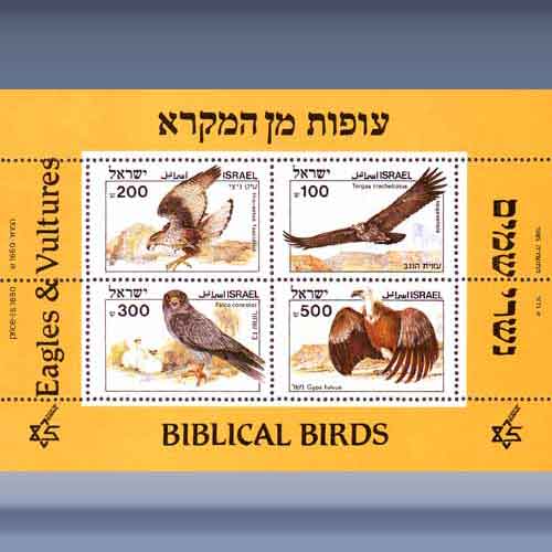 Bijbelse vogels - Klik op de afbeelding om het venster te sluiten