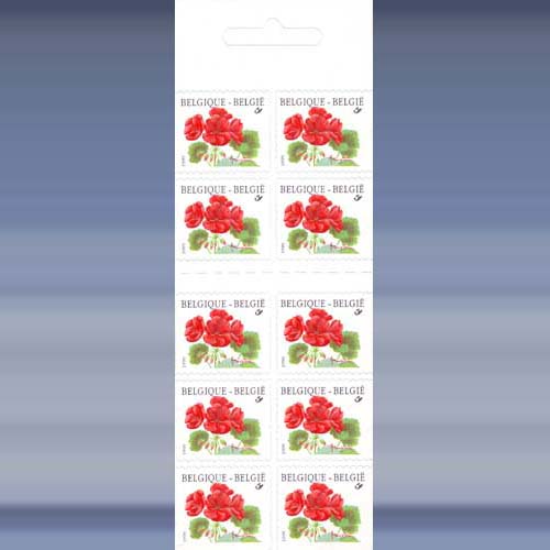 Bloem (Geranium)