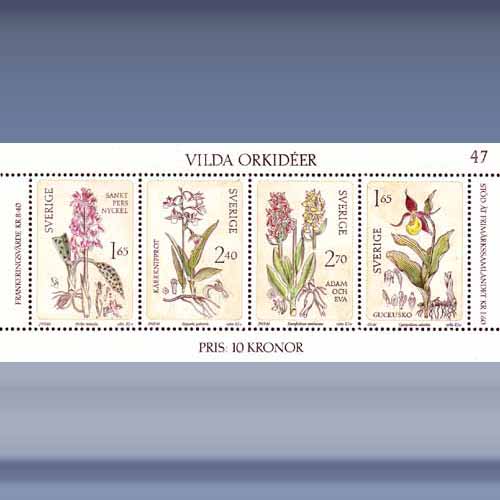 Wilde Orchideen - Klik op de afbeelding om het venster te sluiten