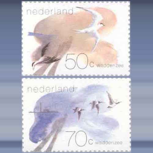 Waddengebied