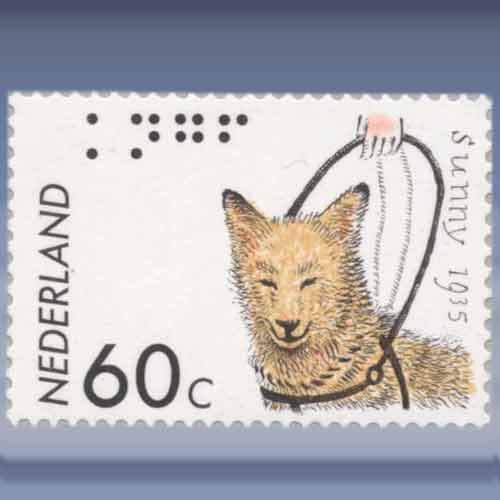 Geleidehondenfonds