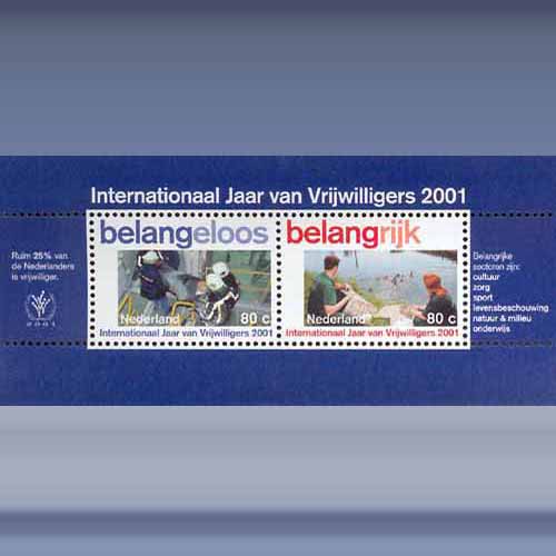 Vrijwilligerswerk (blok)