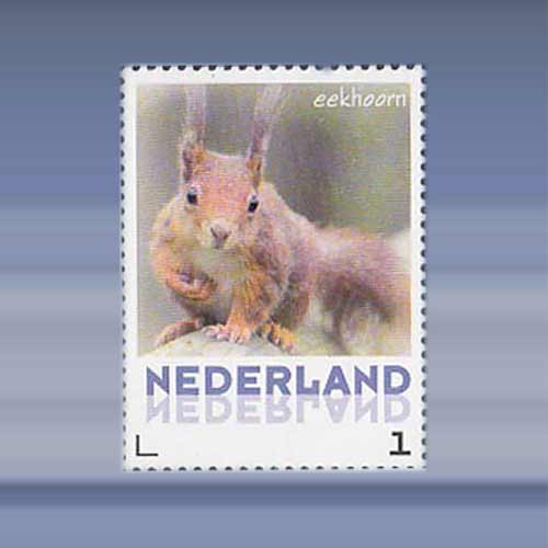 Eekhoorn