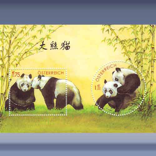 Panda Beer - Klik op de afbeelding om het venster te sluiten