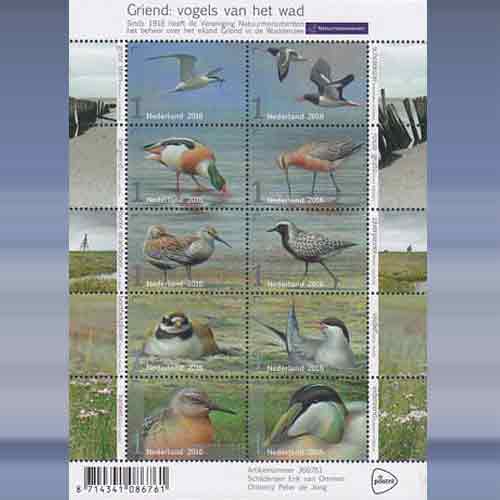 Vogels van het Wad