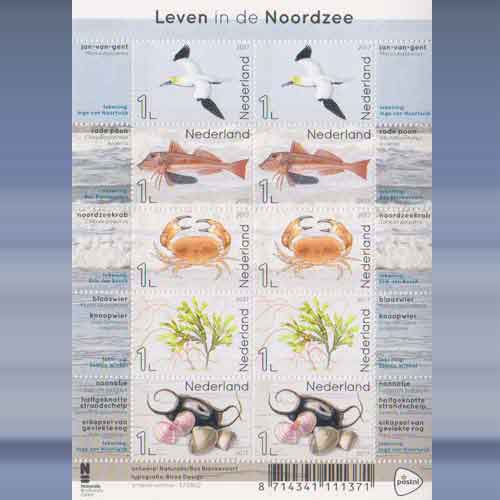 Leven in de Noordzee
