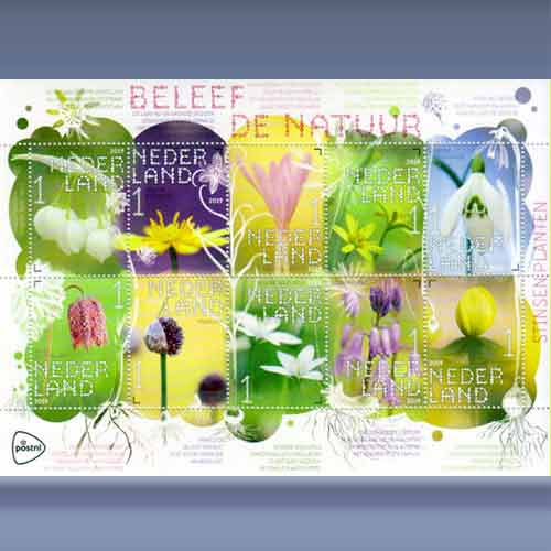 Beleef de Natuur, Planten