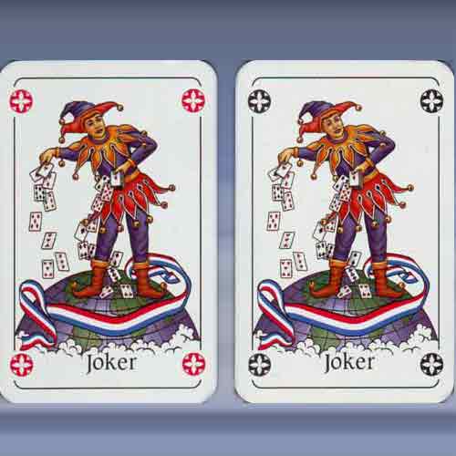 Nederlandse Bridge Bond