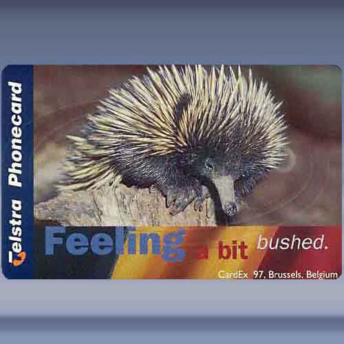 Australia, Telstra (Echidna)