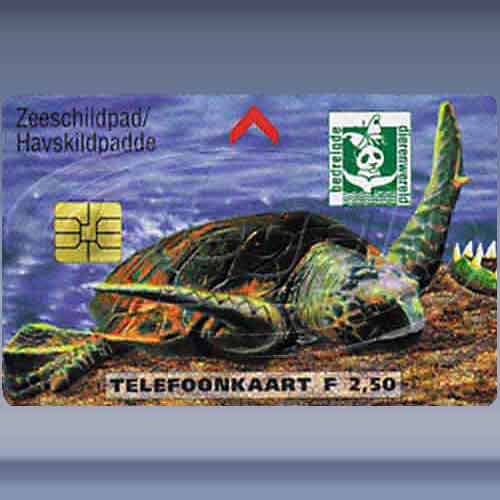 Bedreigde Dierenwereld Zeeschildpad