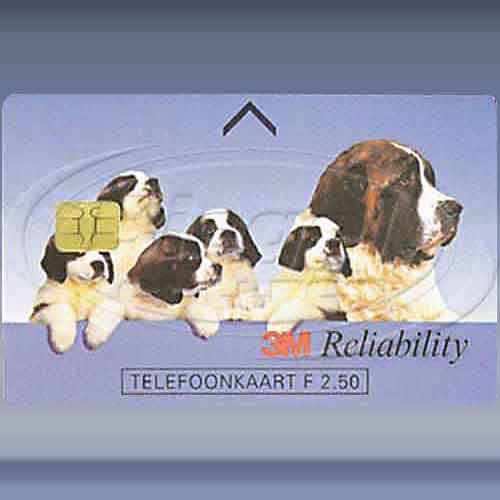 3M Reliability (Hond met jongen)