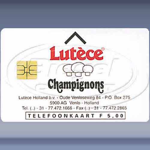 Lutèce Champignons