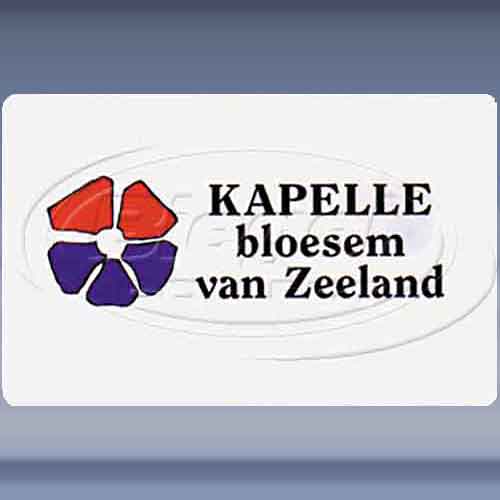 Kapelle bloesem van Zeeland