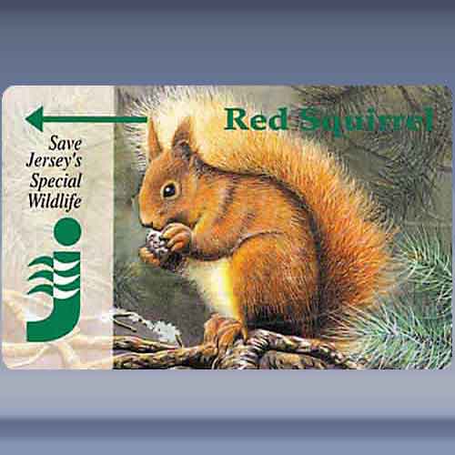 Special Wildlife 1 (Red Squirrel)