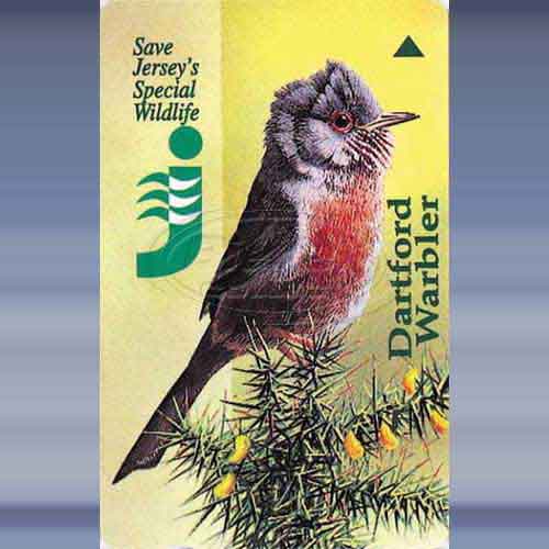 Special Wildlife 2 (Dartford Warbler)