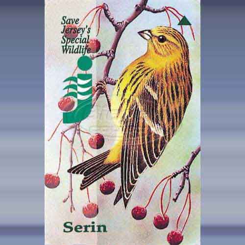 Special Wildlife 2 (Serin)