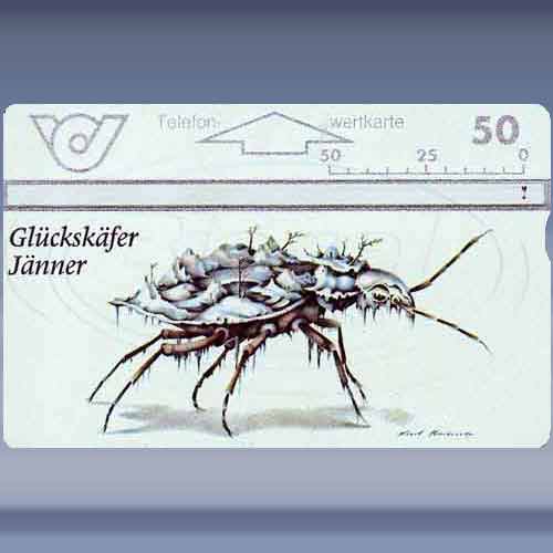 Glckskäfer-Jännar