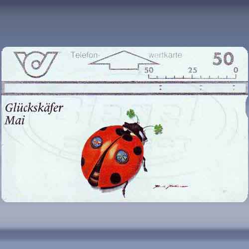 Glückskäfer-Mai