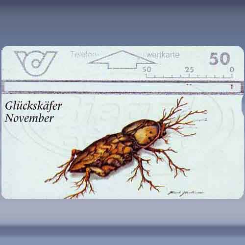Glückskäfer-Novembre