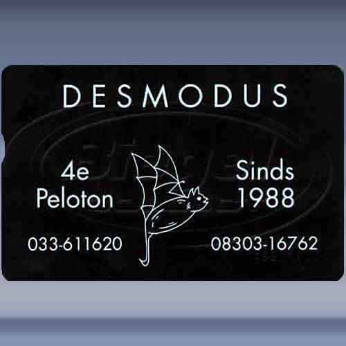 Desmodus