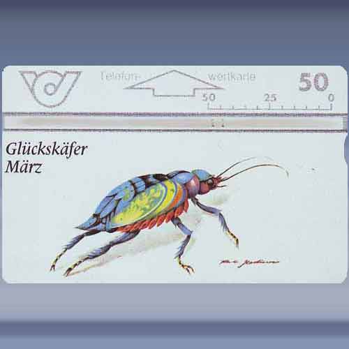 Glckskäfer-März