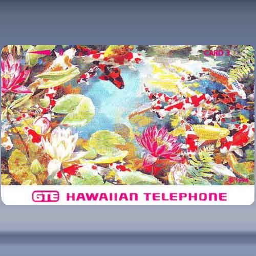 Koi - Fish & Flowers