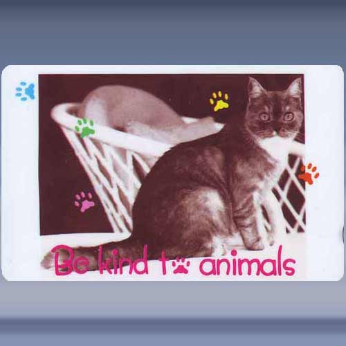 Be kind to Animals - Klik op de afbeelding om het venster te sluiten