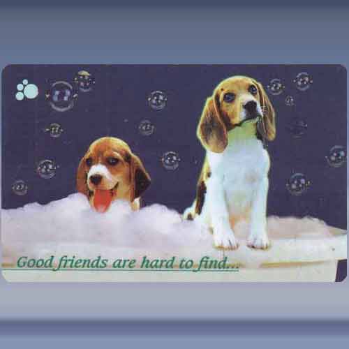 Good friends are...