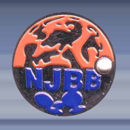 N.J.B.B. (1)